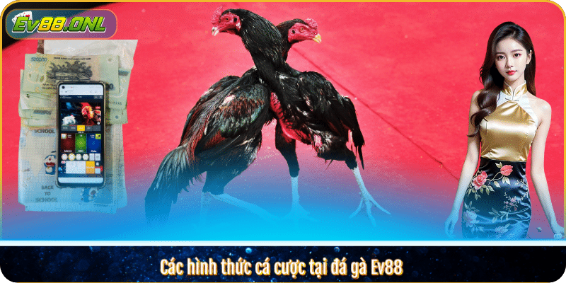 Các hình thức cá cược tại đá gà Ev88
